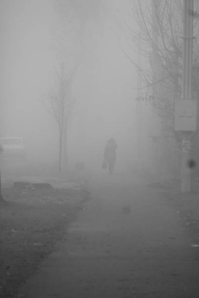 istock autumn fog 1065394918