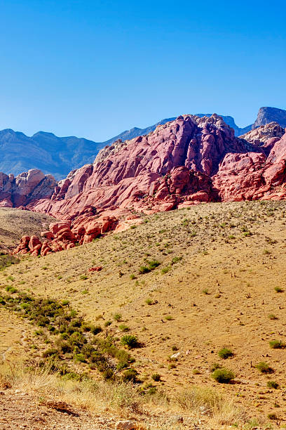 red rock canyon - 3629 imagens e fotografias de stock