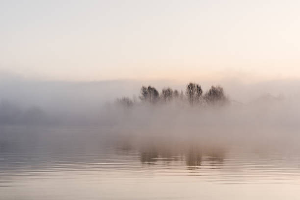 paysage d’hiver au lac avec arbre de brouillard - winter sunset sunrise forest photos et images de collection