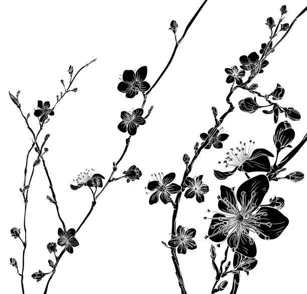 illustrations, cliparts, dessins animés et icônes de motif de fond pêche fleur de cerisier fleurs - arbre en fleurs illustrations