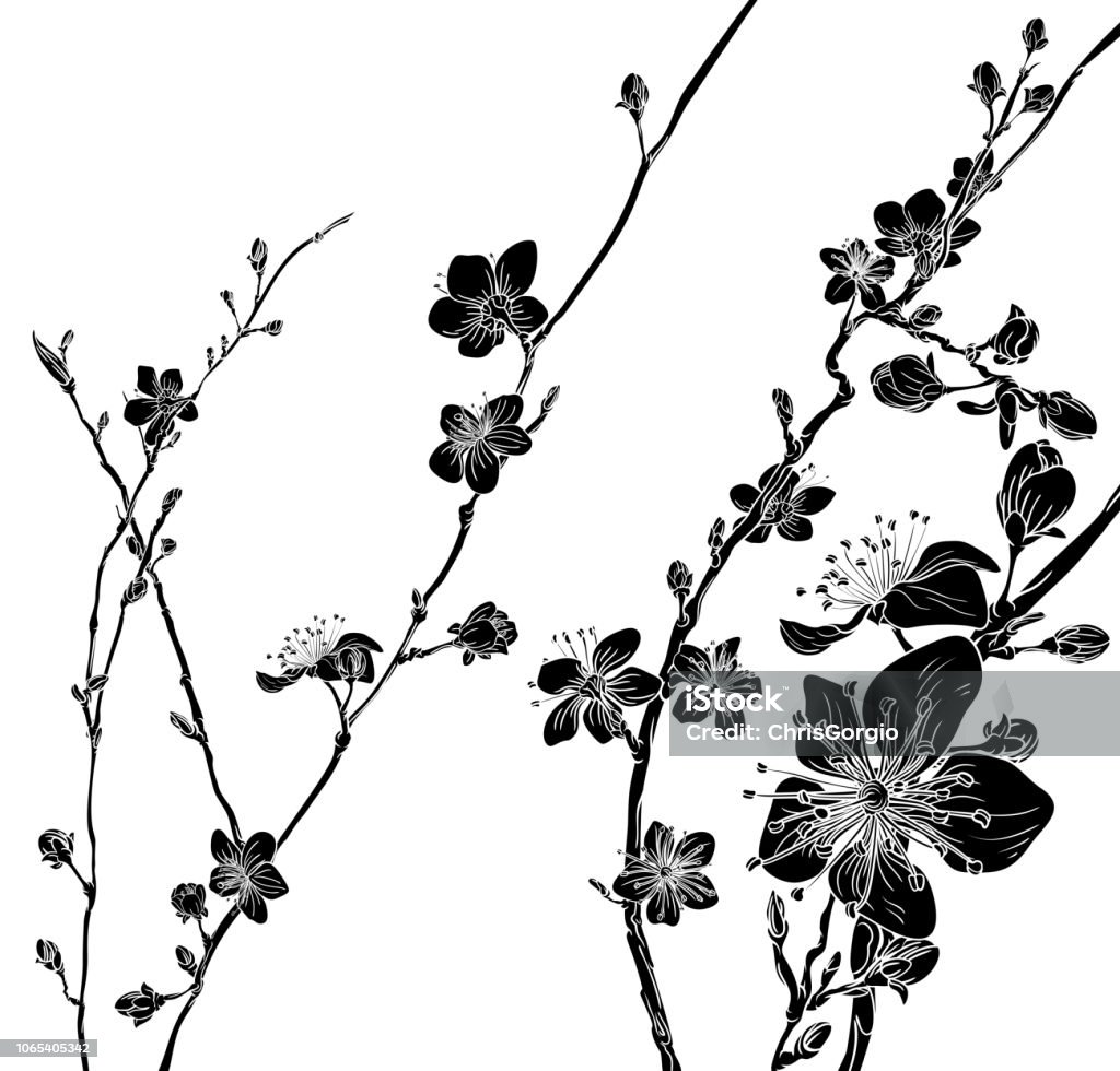 Peach Cherry Blossom Flowers Background Pattern Japanese or Chinese style spring floral fashion design. Cherry or peach blossom flowers tree abstract background pattern. Cherry Blossom stock vector