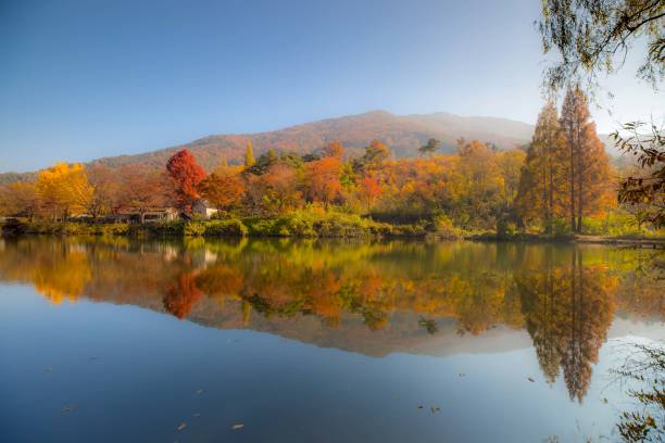 istock VH549  Fall  on the fifth day 1065407024