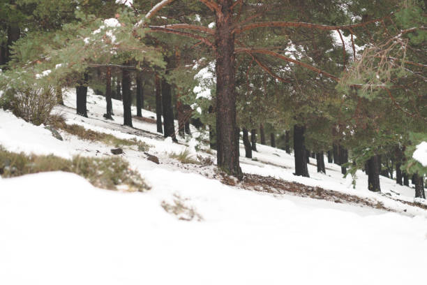 Hiking the Alpujarras in the snow near Granada, Spain.