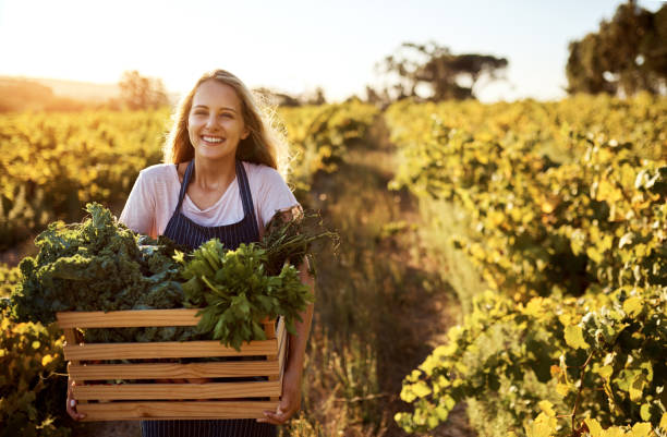 istock Packed full of green goodness 1065410260