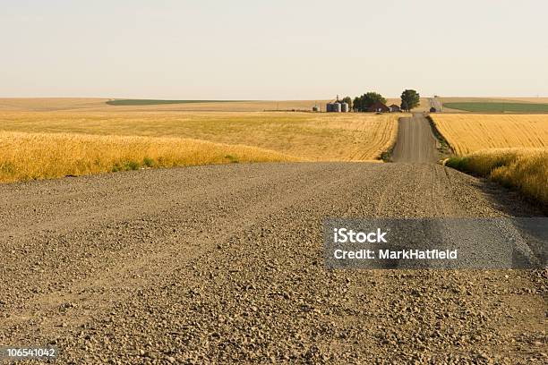 Long Empty Dirt Road Going Through Tall Fields Of Grass Stock Photo - Download Image Now