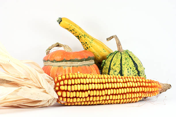 istock Colorful gourds with maize 106541050