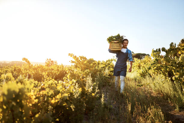 istock My best harvest by far 1065410684