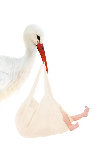 Photo of Stork with baby in linen bag