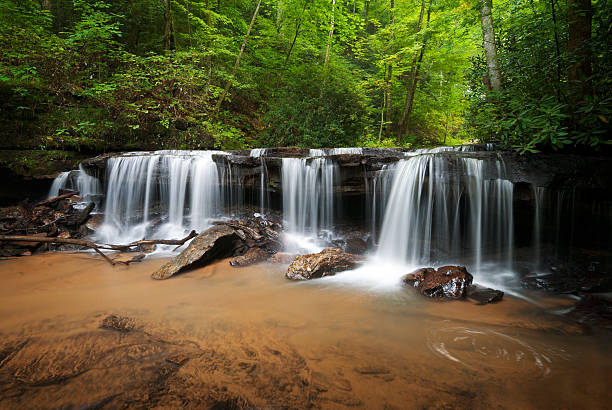 Peaceful Forest Waterfalls Landscape Flowing in Summer stock photo