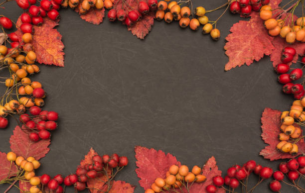 istock Autumn background with fall leave and fruits on black background 1065420272