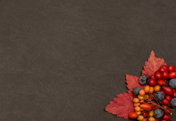 Autumn background with fall leave and fruits on black background.Autumn composition with copy space