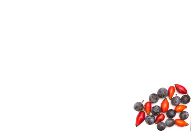 istock Autumn composition. Composition  pattern made of autumn fruits 1065420342