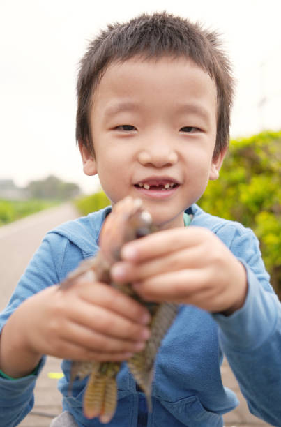 istock Child playing by a stream fishing 1065432862