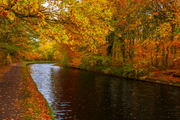 istock Autumnal Canal side Scene in the UK 1065436630