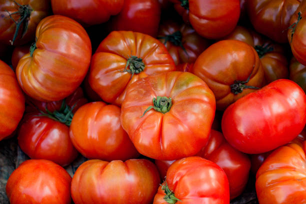istock tasty fresh tomatos in view 1065437376