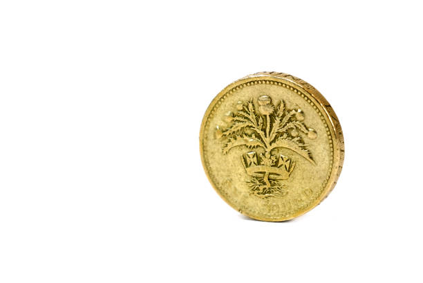 istock Close up isolated of one pound coin 1065439994