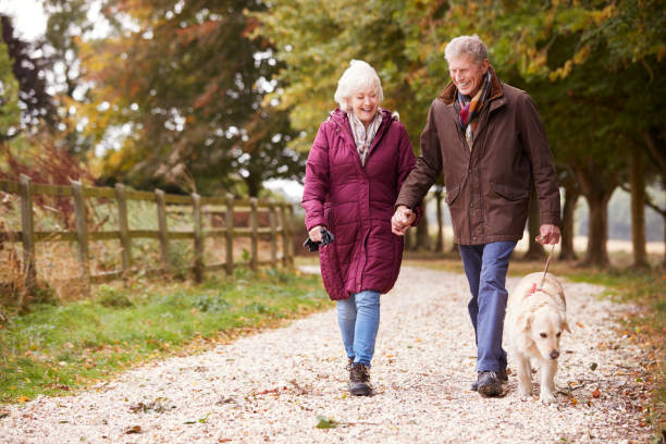istock Active Senior Couple On Autumn Walk With Dog On Path Through Countryside 1065444276