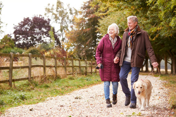 istock Active Senior Couple On Autumn Walk With Dog On Path Through Countryside 1065444322