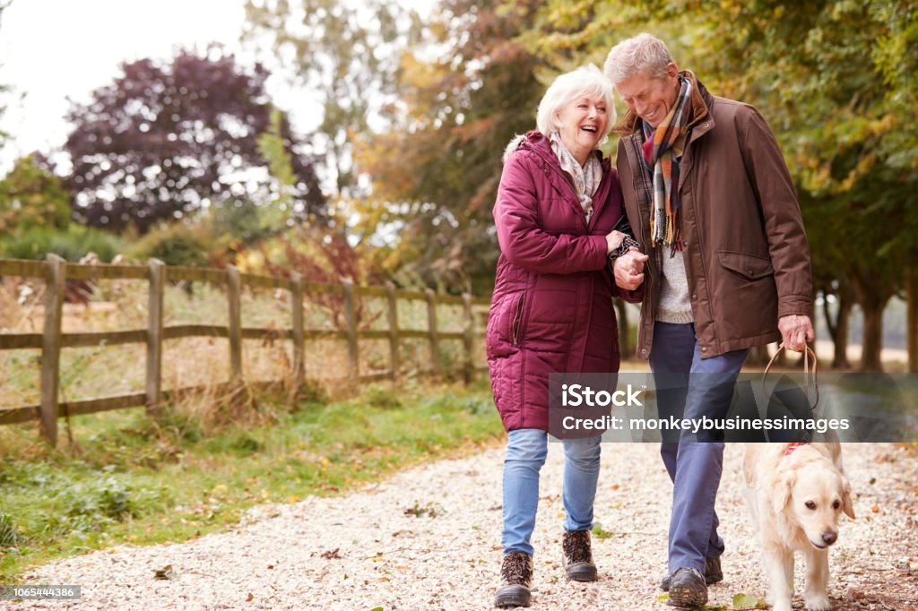 Ativo casal sênior na caminhada de Outono com o cão no caminho através do campo - Foto de stock de Andar royalty-free