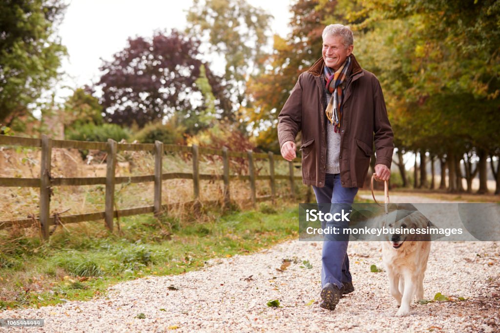 Aktiven Senior Mann auf Herbst Spaziergang mit Hund auf den Weg durch die Landschaft - Lizenzfrei Gehen Stock-Foto