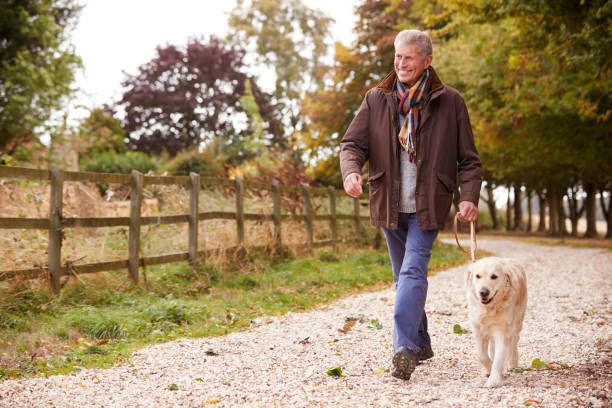 istock Active Senior Man On Autumn Walk With Dog On Path Through Countryside 1065444444