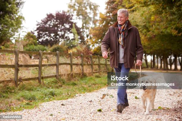 Active Senior Man On Autumn Walk With Dog On Path Through Countryside Stock Photo - Download Image Now