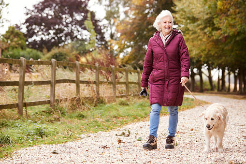 Active Senior Woman On Autumn Walk With Dog On Path Through Countryside