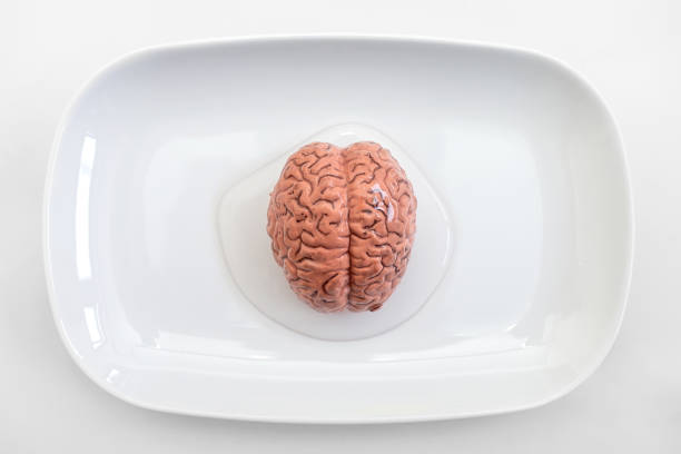 白い皿の上の人間の脳 ストックフォト