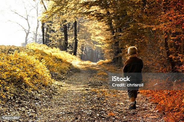 Criança Em Floresta - Fotografias de stock e mais imagens de 4-5 Anos - 4-5 Anos, Andar, Antigo