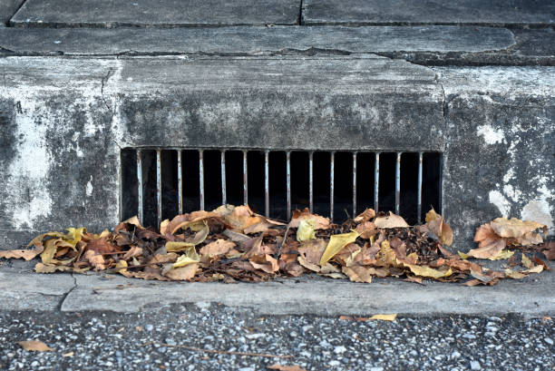 istock Storm drainage steel gutter with dry leaves piled in front. 1065449138