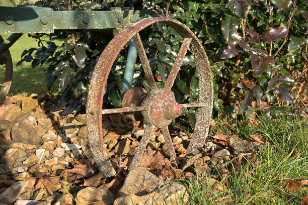 istock A steel wheel from an old plowed plow covered with moss 1065450324