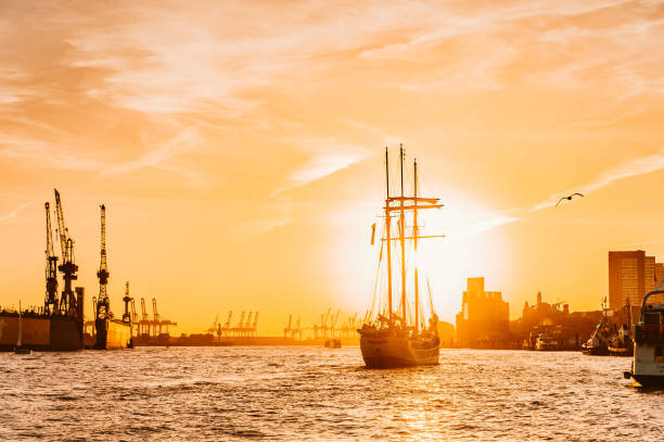wooden sailboat sailing toward dramatic sunset beginning new travel adventure with flying bird stock photo