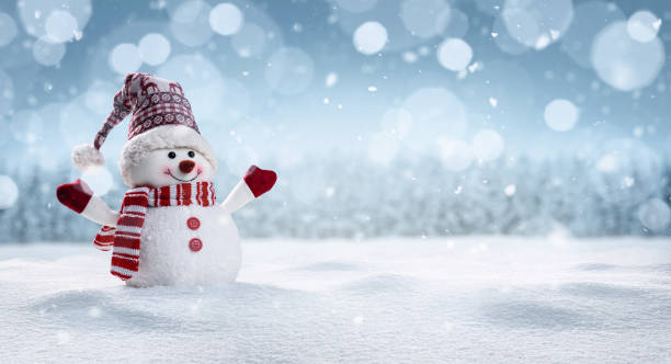 Happy snowman in winter secenery Panoramic view of happy snowman in winter secenery with copy space december stock pictures, royalty-free photos & images
