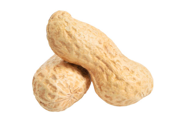 istock Peanuts close up. Isolated on white background. Full depth of field 1065458436