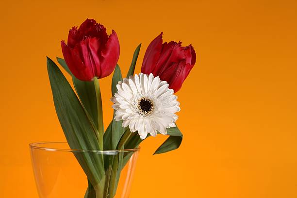 istock Flowers in a vase 106546325
