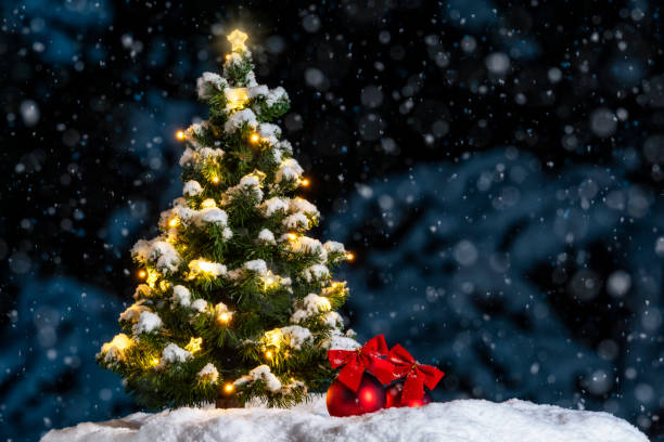 istock Small Christmas Tree with lights and baubles outside at night as it snows 1065467868