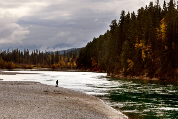 istock Golden British Columbia 1065471922