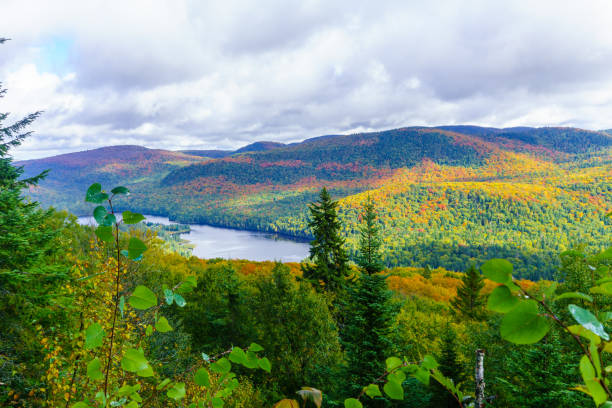 ラ pimbina モン ・ トランブラン国立公園の谷 - laurentian moutains ストックフォトと画像