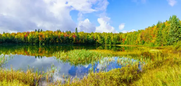 Panoramic view of Lac Coutu, with fall foliage colors in Saint-Donat, Laurentian Mountains, Quebec, Canada