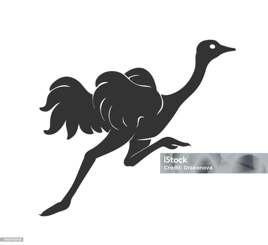 Ostrich Racing Engine Vector Ostrich Running Vector Stock Illustration - Download Image Now ...