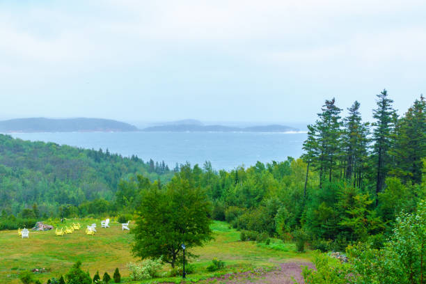 paisagem (ingonish próximo) ao longo da trilha de cabot - nova scotia extreme terrain cape breton island landscape - fotografias e filmes do acervo