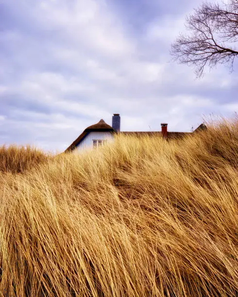 House behind the dunes on the Baltic Sea.