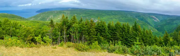 Photo of Landscape (near Pleasant Bay), in Cape Breton Highlands National Park