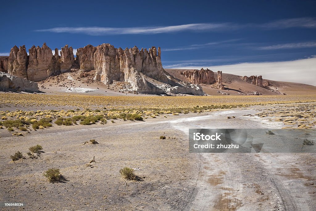 Rock cathedrals in Salar de Tara, Chile  Altiplano Stock Photo