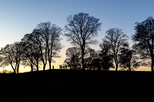 Silhouette of a group of people between some trees enjoying the sunset in a hill