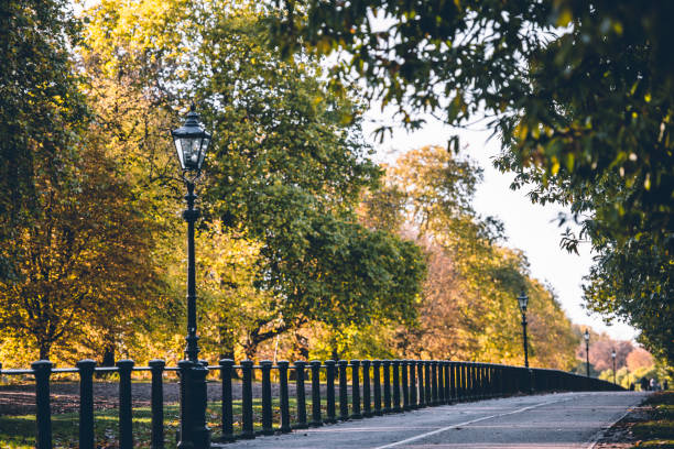 istock Hyde Park in London during autumn 1065480900