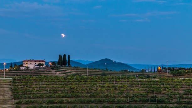 istock Evening in the vineyard of Rosazzo during a moon eclipse 1065485486