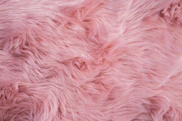 istock Pink sheepskin background. Fur pattern. Wool texture. Sheep fur 1065485534