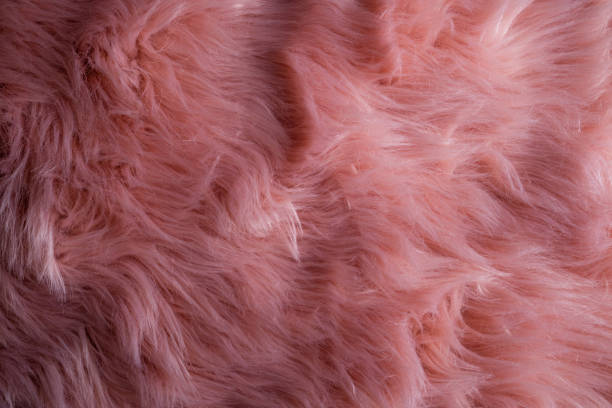 istock Pink sheepskin background. Fur pattern. Wool texture. Sheep fur 1065485592