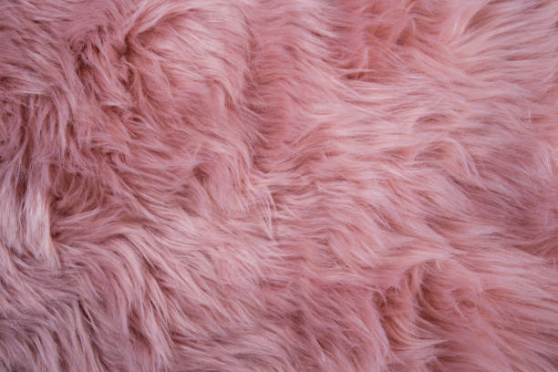 istock Pink sheepskin background. Fur pattern. Wool texture. Sheep fur 1065485596